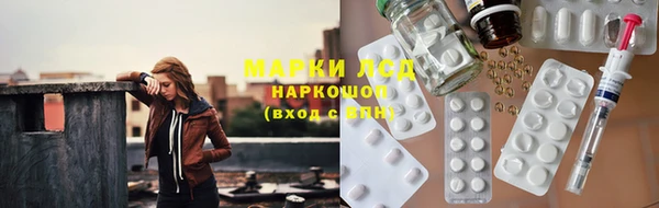 apvp Верея
