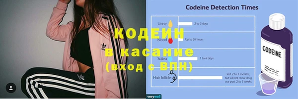 apvp Верея