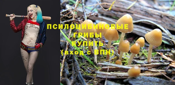 apvp Верея