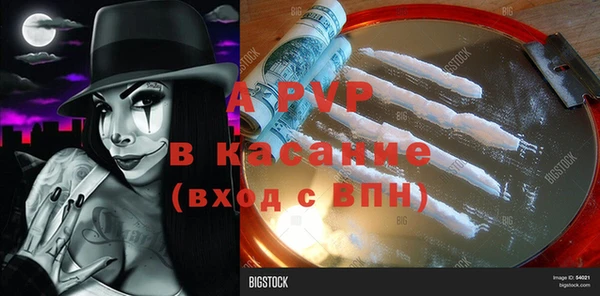 apvp Верея