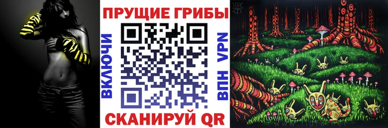 Галлюциногенные грибы Psilocybine cubensis  Динская 