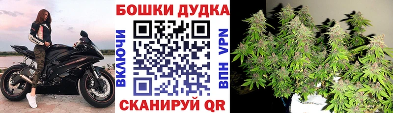 Шишки марихуана марихуана наркошоп МЕГА ссылка мориарти наркотические препараты Динская